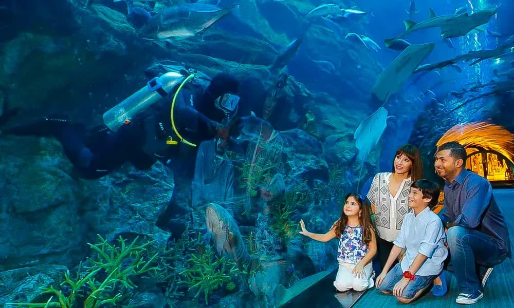 Chariot3-2x2-1-scaled