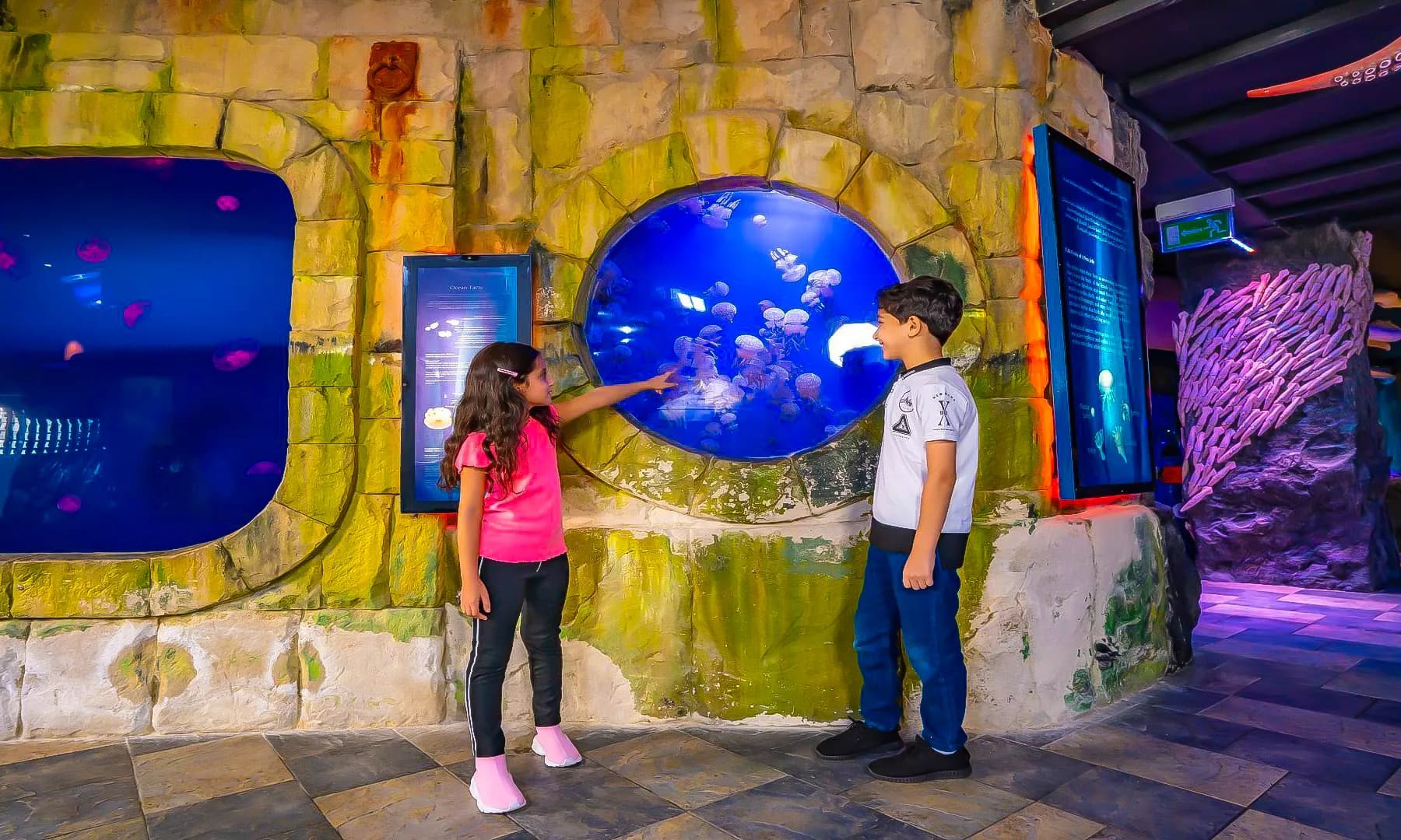 Chariot3-2x2-1-scaled