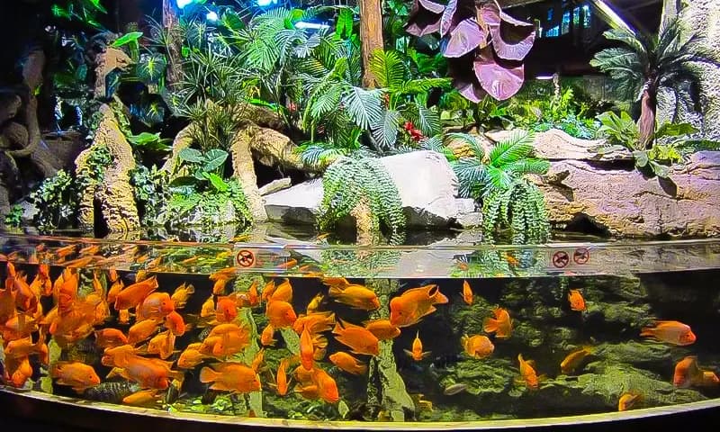 Chariot3-2x2-1-scaled